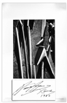 Ansel Adams Signed Poster of His Photograph, Madrone Bark, Santa Cruz Mountains, California